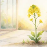 庭に咲く菜の花